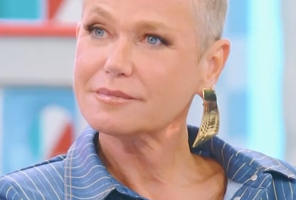 Xuxa e carnavalesco trocam farpas nas redes: entenda a briga que dividiu a internet